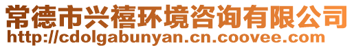 常德市興禧環(huán)境咨詢有限公司