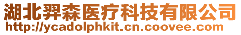 湖北羿森醫療科技有限公司