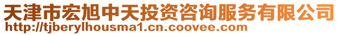 天津市宏旭中天投資咨詢服務(wù)有限公司