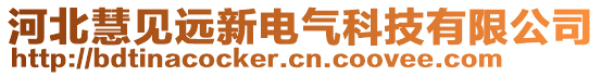 河北慧見遠(yuǎn)新電氣科技有限公司
