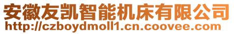 安徽友凱智能機(jī)床有限公司