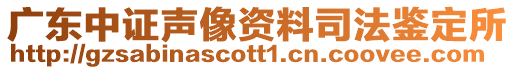 廣東中證聲像資料司法鑒定所