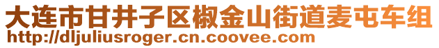 大連市甘井子區(qū)椒金山街道麥屯車組