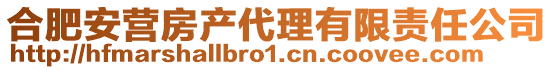 合肥安營房產(chǎn)代理有限責(zé)任公司