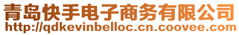 青島快手電子商務(wù)有限公司
