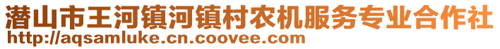 潛山市王河鎮(zhèn)河鎮(zhèn)村農(nóng)機服務(wù)專業(yè)合作社