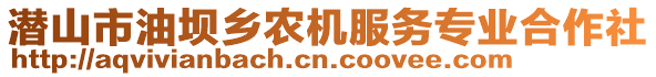 潛山市油壩鄉(xiāng)農(nóng)機(jī)服務(wù)專業(yè)合作社