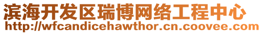 濱海開發(fā)區(qū)瑞博網(wǎng)絡(luò)工程中心