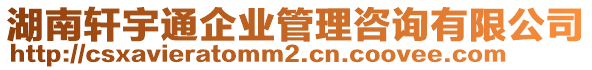 湖南軒宇通企業(yè)管理咨詢有限公司