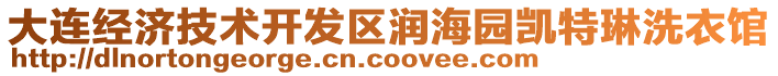 大連經(jīng)濟技術(shù)開發(fā)區(qū)潤海園凱特琳洗衣館