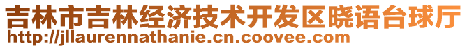 吉林市吉林經(jīng)濟(jì)技術(shù)開發(fā)區(qū)曉語臺球廳