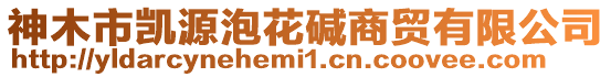 神木市凱源泡花堿商貿(mào)有限公司