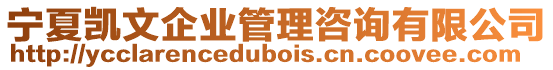 寧夏凱文企業管理咨詢有限公司