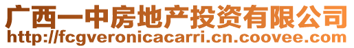廣西一中房地產投資有限公司