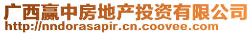 廣西贏中房地產(chǎn)投資有限公司