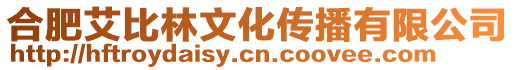 合肥艾比林文化傳播有限公司