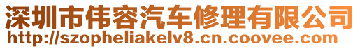 深圳市偉容汽車修理有限公司