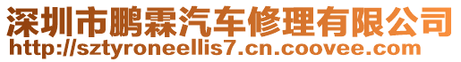 深圳市鵬霖汽車修理有限公司