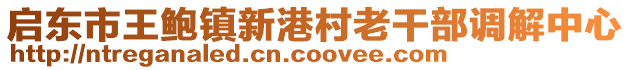 啟東市王鮑鎮新港村老干部調解中心