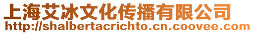 上海艾冰文化傳播有限公司