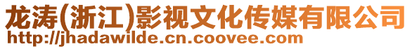 龍濤(浙江)影視文化傳媒有限公司
