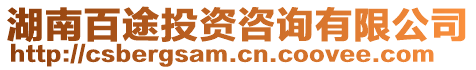 湖南百途投資咨詢有限公司