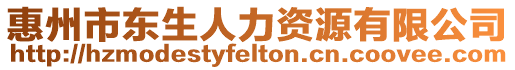 惠州市東生人力資源有限公司