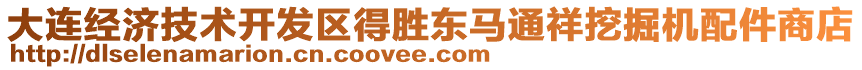 大連經濟技術開發區得勝東馬通祥挖掘機配件商店
