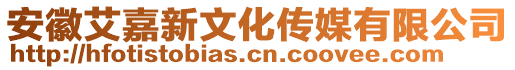 安徽艾嘉新文化傳媒有限公司