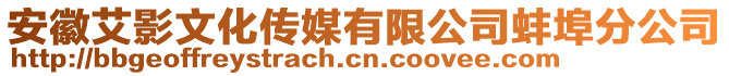 安徽艾影文化傳媒有限公司蚌埠分公司