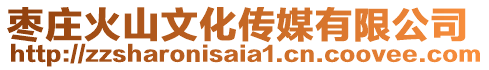 棗莊火山文化傳媒有限公司