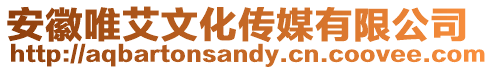 安徽唯艾文化傳媒有限公司