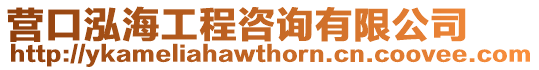 營口泓海工程咨詢有限公司