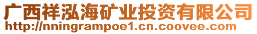 廣西祥泓海礦業投資有限公司