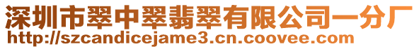 深圳市翠中翠翡翠有限公司一分廠