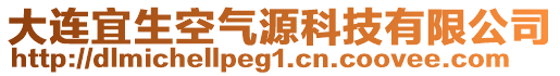 大連宜生空氣源科技有限公司