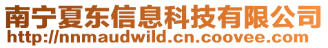 南寧夏東信息科技有限公司