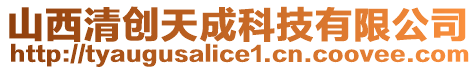 山西清創(chuàng)天成科技有限公司