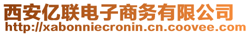 西安億聯(lián)電子商務有限公司