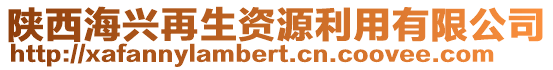 陜西海興再生資源利用有限公司