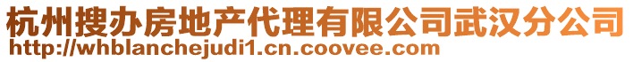 杭州搜辦房地產(chǎn)代理有限公司武漢分公司