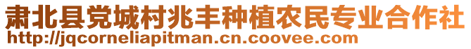 肅北縣黨城村兆豐種植農(nóng)民專業(yè)合作社