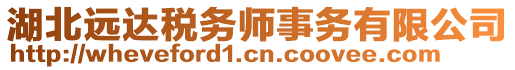 湖北遠達稅務師事務有限公司