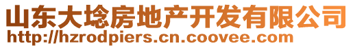 山東大埝房地產(chǎn)開發(fā)有限公司