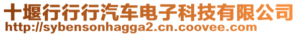 十堰行行行汽車電子科技有限公司