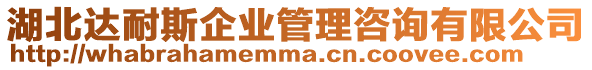 湖北達(dá)耐斯企業(yè)管理咨詢有限公司