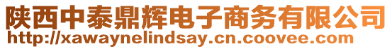 陜西中泰鼎輝電子商務有限公司