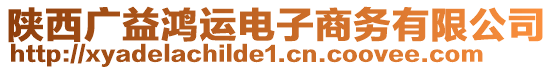 陜西廣益鴻運(yùn)電子商務(wù)有限公司