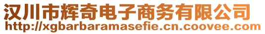 漢川市輝奇電子商務(wù)有限公司