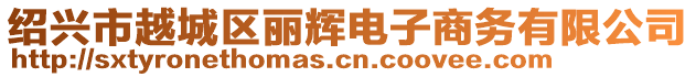 紹興市越城區(qū)麗輝電子商務(wù)有限公司